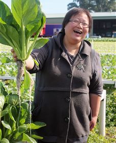 TCP Day Tours - See Attractions 3