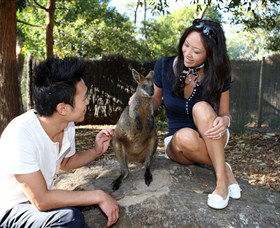 VIP Aussie Gold - Attractions 0