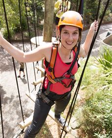 Wild Ropes At Taronga Zoo - See Attractions 3