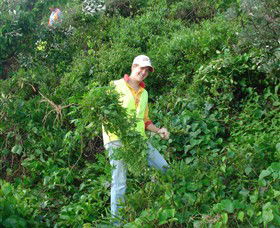 Conservation Volunteers Australia - Sydney - Attractions 2