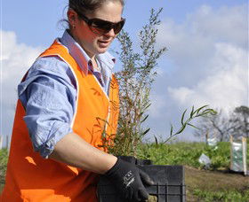 Conservation Volunteers Australia - Sydney - Attractions 3