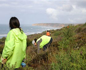 Conservation Volunteers Australia - Sydney - Attractions 5