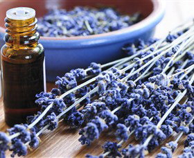 Pure Botanicals - Attractions 2