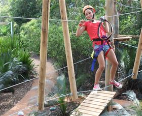 Urban Jungle Adventure Park - Attractions 0