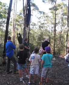 Boronia Tours - Attractions 1