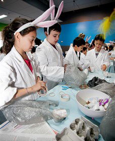 Australian Nuclear Science And Technology Organisation - Attractions 1