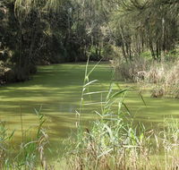 Second Ponds Creek walk - Attractions