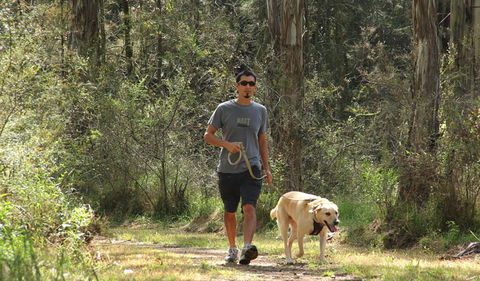 Second Ponds Creek Walk - Attractions 3