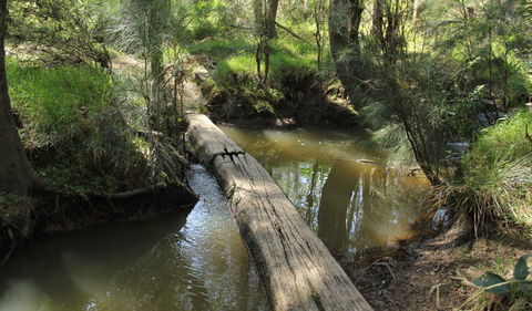 Second Ponds Creek Walk - Attractions 2