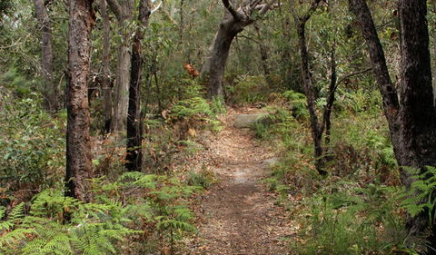 Box Head Track - Attractions 1