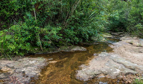 Cawleys Road Trail - Attractions 2