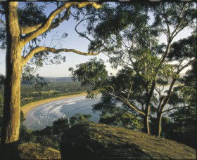 Ocean Beach Umina - Attractions 0
