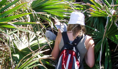 Palm Jungle Loop Track - Attractions 0