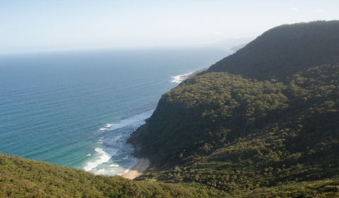 Palm Jungle Loop Track - Attractions 1