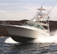 1300 Big Fish - Attractions