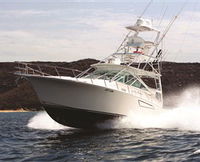 Book Gosford Accommodation Vacations Attractions Attractions