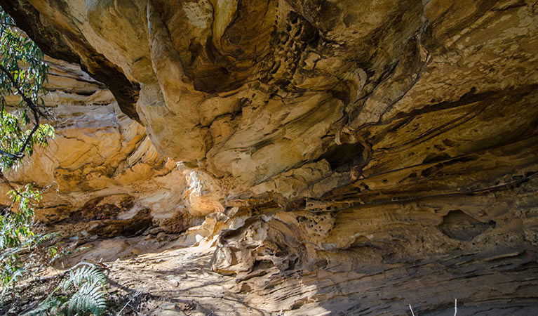 Canoelands NSW Attractions