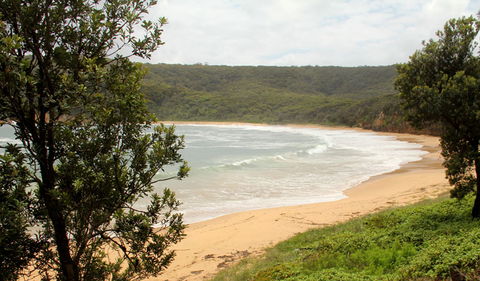 Maitland Bay Track - Attractions 0