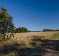 Scheyville horse riding trails - Attractions