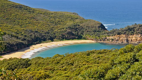Bouddi National Park - Attractions 0