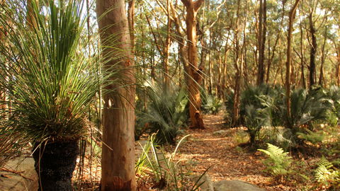 Bouddi National Park - Attractions 1
