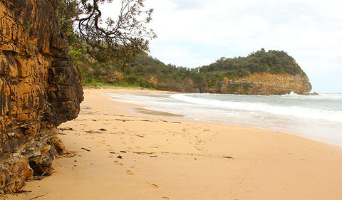 Bouddi Coastal Walk - Attractions 1