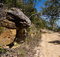 Canoelands Ridge walking track - Attractions