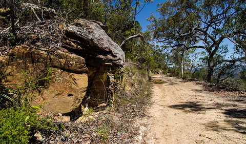 Canoelands Ridge Walking Track - Attractions 0