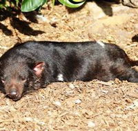 Symbio Wildlife Park - Attractions