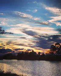 Governor Phillip Park