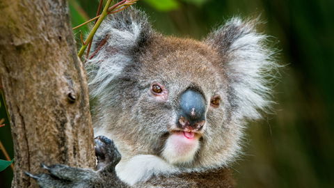 Brisbane Water National Park - Attractions 2