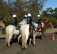 Darkes Forest Riding Ranch - Attractions