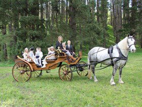 Banksia Park SA Attractions