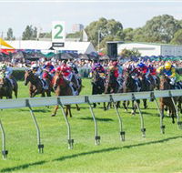 Morphettville Racecourse - Attractions