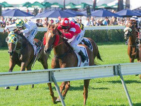 Morphettville Racecourse - Attractions 2