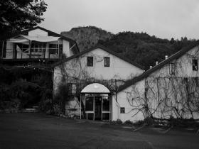 Amphora Wine Group - Attractions 0