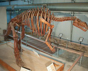 Flinders Discovery Centre - Attractions 1