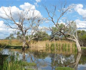 Lagoon Creek - Attractions 0