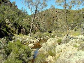 Saunders Gorge Sanctuary - Attractions 1