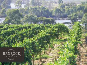 Banrock Station Wine And Wetland Centre - Attractions 0