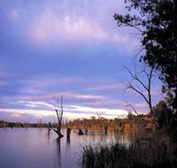 Loch Luna Game Reserve and Moorook Game Reserve - Attractions