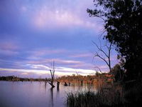 Loch Luna Game Reserve and Moorook Game Reserve