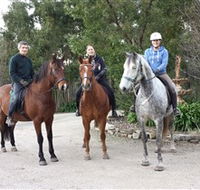 Academy of Dressage - Attractions