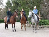 Academy of Dressage