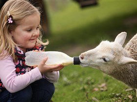 Hahndorf Farm Barn - Attractions 0