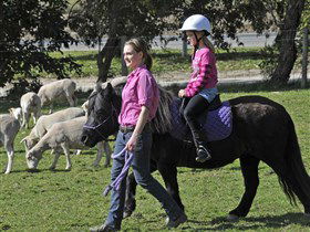 Hahndorf Farm Barn - Attractions 2