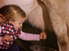 Hahndorf Farm Barn - Attractions 1