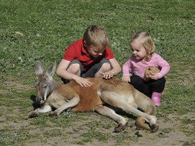 Hahndorf Farm Barn - Attractions 3