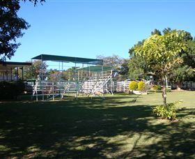 Blackall Saleyards - Attractions 1