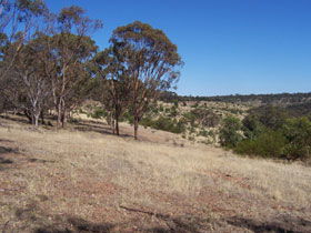 Onkaparinga River National Park - Attractions 0